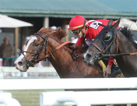 Off 'Sneaky Good Races,' Irish Aces Takes Opening.